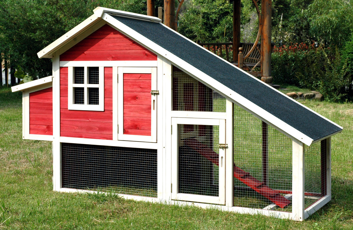 Merry Products Pet Proposal Habitat Chicken Coop with Nesting Box